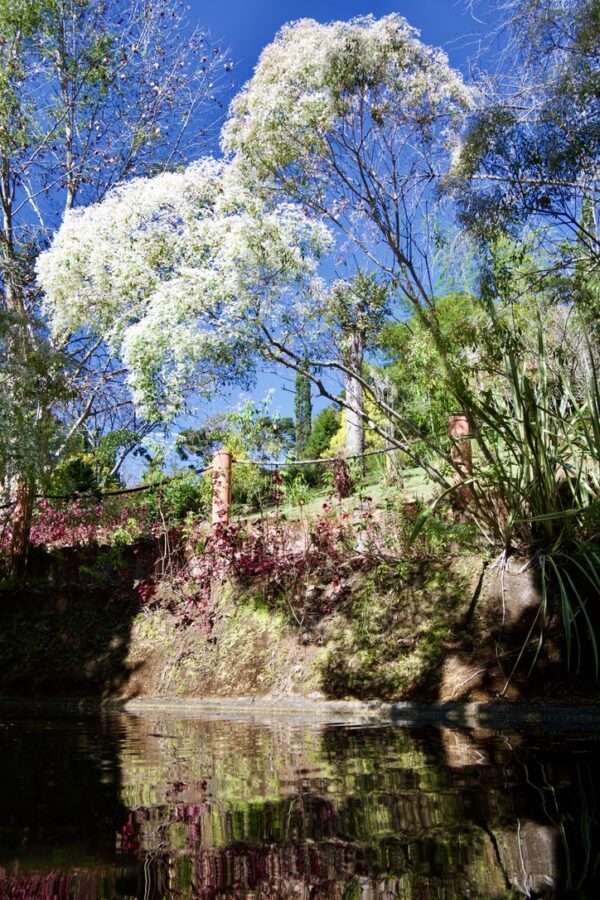 Jardins do paraíso