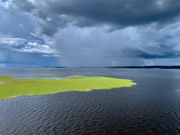 Chuva amazônica