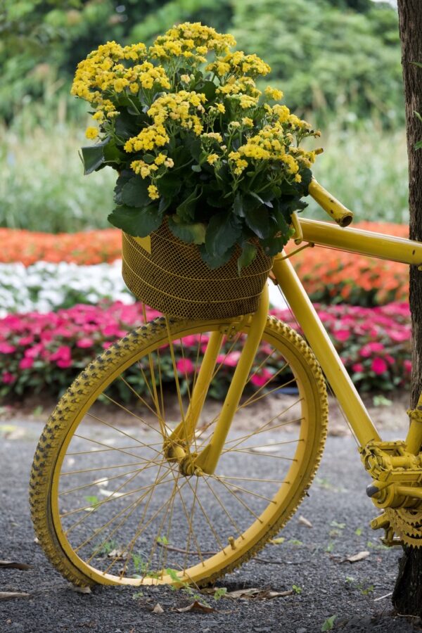 Bicicleta florida